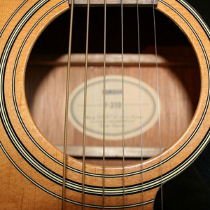 Lo-thoat-dan-guitar-yamaha-f310