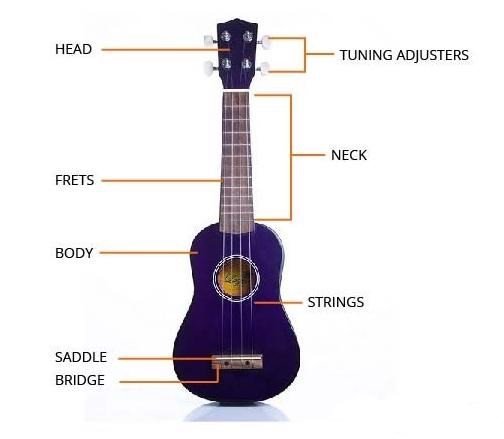 Cấu tạo của đàn ukulele