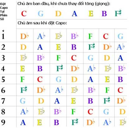 Hướng dẫn cách sử dụng capo guitar hiệu quả
