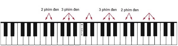 đàn piano chia thành nhóm 2 phím đen và nhóm 3 phím đen