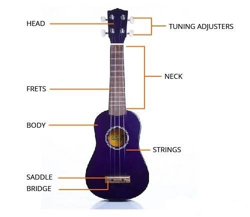 Cấu tạo bộ phận đàn ukulele