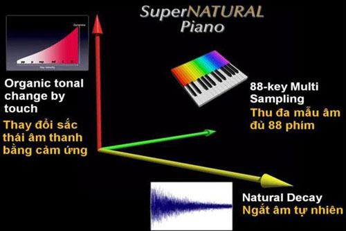 Nhung-dieu-quan-trong-can-quan-tam-khi-mua-dan-piano-dien-5