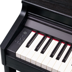Digital Piano Rp701