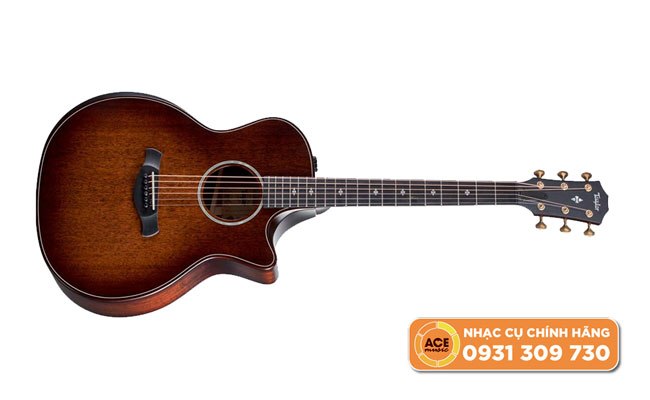 đàn Guitar Acoustic Taylor 324ce Builder's Edition
