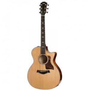 Dan-guitar-acoustic-taylor-614ce-1