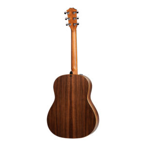 Dan-guitar-acoustic-taylor-717e-3