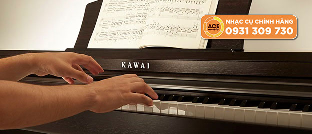 Kawai KDP-120 và Roland RP 501R