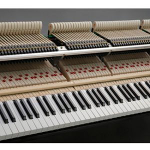 Dan-piano-co-grand-brandnew-kawai-gl-20-2