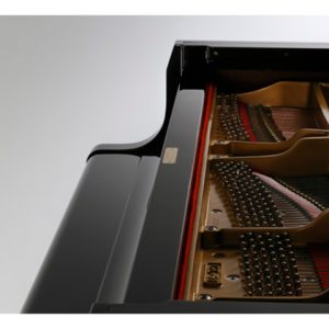 Dan-piano-co-grand-brandnew-kawai-gl-20-4