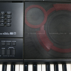 Organ Ct-x3000 Giá Rẻ Chính Hãng