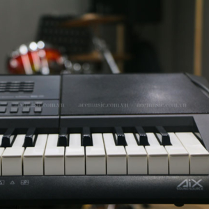 Organ Casio Ct-x3000