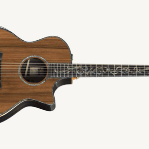 Taylor-ps14ce-2