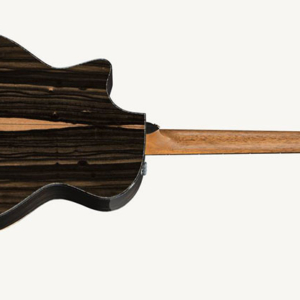 Taylor-ps14ce-3