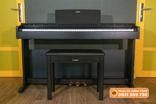 Ydp-145-front