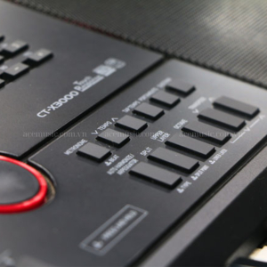 đàn Organ Casio Ct-x3000 Giá Rẻ