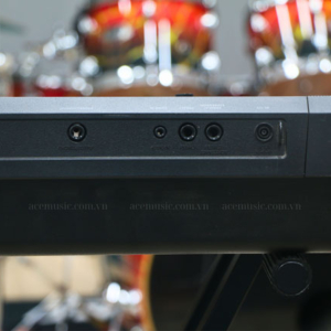 đàn Organ Casio Ct-x3000 Giá Tốt Nhất