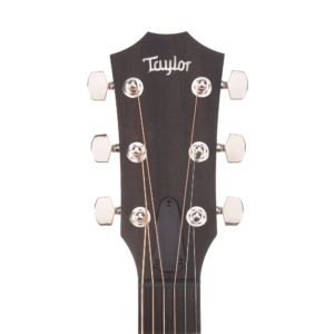 Dan-guitar-acoustic-taylor-ad17e-7