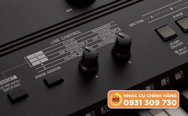 Đàn Organ Yamaha PSR-EW410
