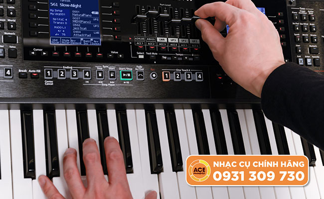 Đàn Organ Roland Arranger E-A7