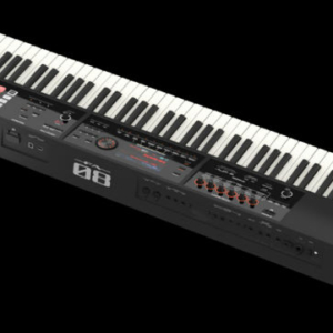 Dan-organ-roland-worksation-fa-08-2