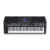 Dan-organ-yamaha-arranger-psr-sx600-1