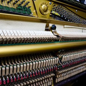 Dan-piano-co-upright-rosen-kranz-u30-6