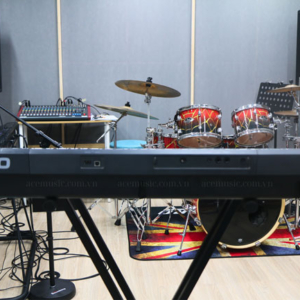 Mua đàn Organ Casio Ct-x3000 Tphcm