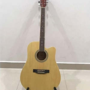 Dan-guitar-acoustic-devier-caravan-hs4111nat-1