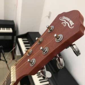 Dan-guitar-acoustic-devier-caravan-hs4140tbs-3