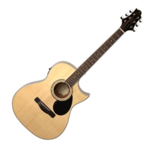 Dan-guitar-acoustic-greg-bennett-ga100sce-1