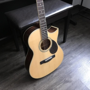 Dan-guitar-acoustic-greg-bennett-ga100sce-3