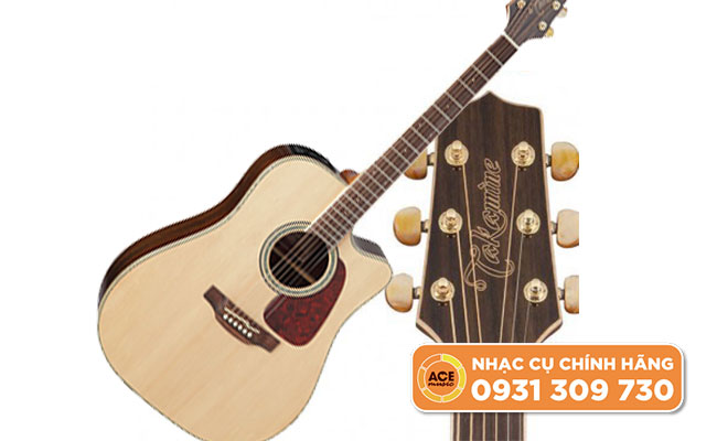 Takamine GD71CE-NAT
