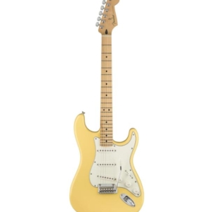 Dan-guitar-dien-fender-playder-stratocaster-sss-maple-2