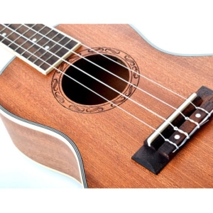 Dan-ukulele-concert-deviser-uk24-30-3