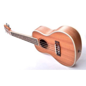 Dan-ukulele-concert-deviser-uk24-30-4