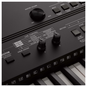 Dan-organ-yamaha-psr-ew410-5