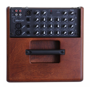 Ampli-guitar-acoustic-acus-one6tsimonwood (5)
