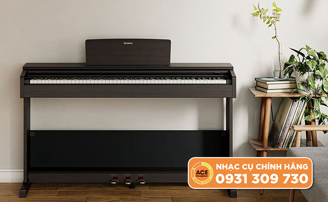 Review so sánh đàn piano điện Yamaha YDP-105 & Roland RP-102