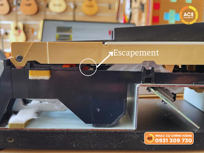 Escapement Của Piano điện Roland F107