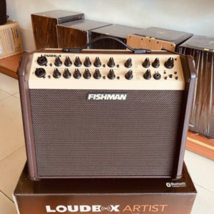 Amply-guitar-acoustic-fishman-loudbox-artist-120-bt-pro-lbt-eu6 (5)