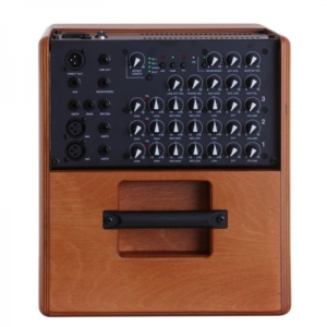 Amply-guitar-acoustic-acus-oneforstreet8wood (3)