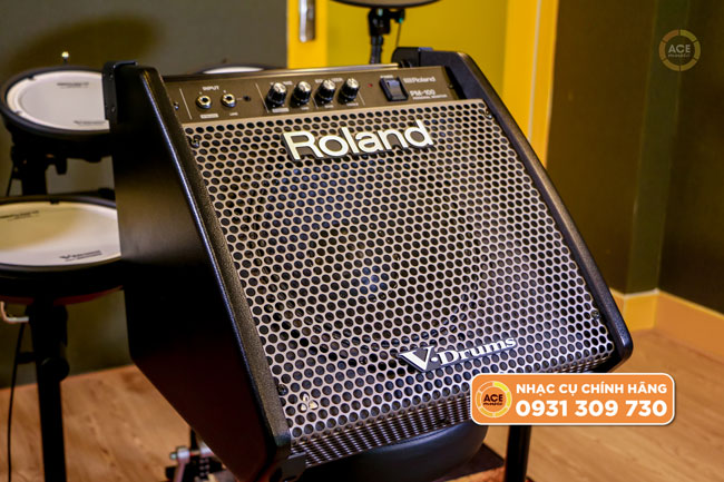 Loa Trống điện Tử Roland Pm-100 (2)