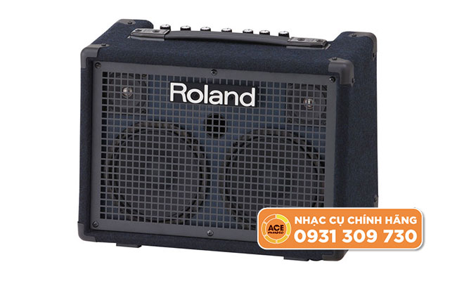 Amply Roland Monitor Đa Năng Kc-220 (4)