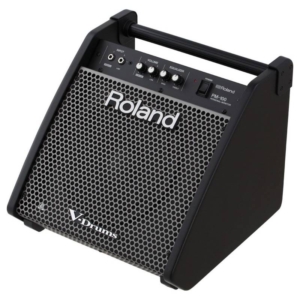 Amply Trống Điện Roland Pm-100 (1)