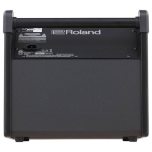 Amply Trống Điện Roland Pm-100 (2)
