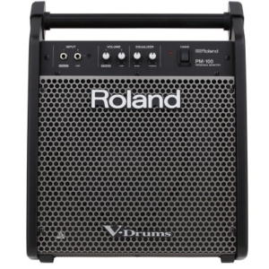 Amply Trống Điện Roland Pm-100 (3)