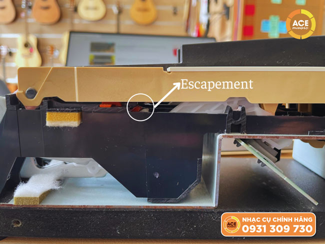 Tính Năng Escapement Trên Phím đàn Piano điện Roland
