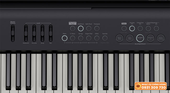 Công Nghệ Zen-core Với Hệ Tiếng Synth Trên Roland Fp-e50
