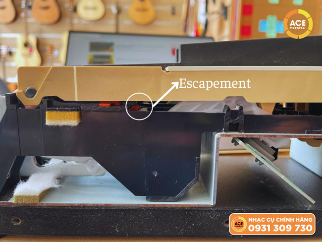 Tính Năng Escapement Trên Bàn Phím Roland