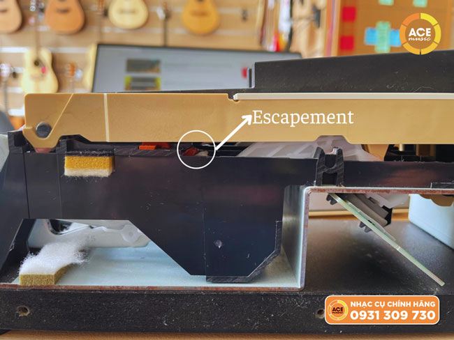 Hệ Phím Pha-4 Của Roland Với Tính Năng Escapement